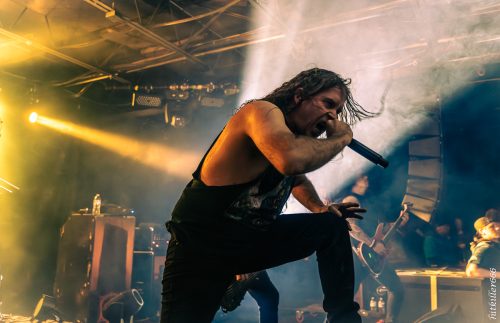 Cattle Decapitation live