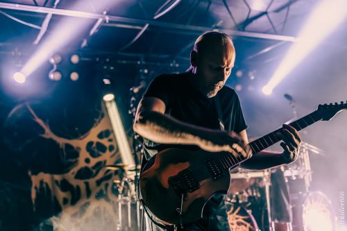 Cattle Decapitation live