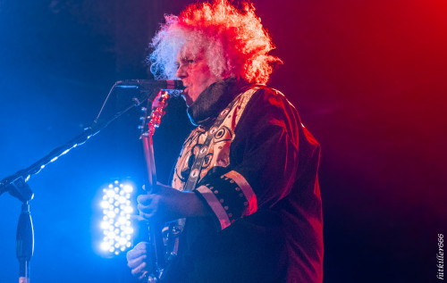 MELVINS 2025