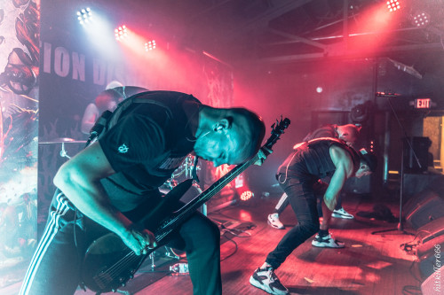 EXTERMINATION DISMEMBERMENT