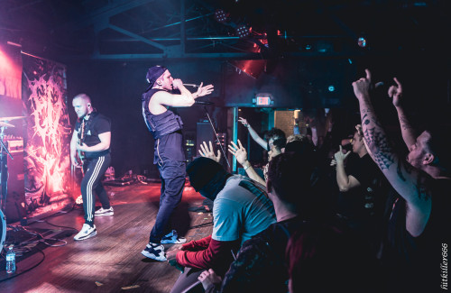 EXTERMINATION DISMEMBERMENT