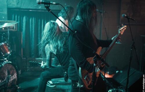 BLACK TUSK