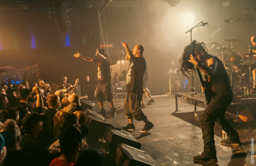 Maryland Deathfest 2024