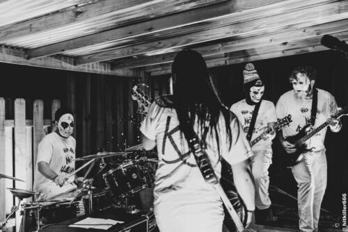 THE KOLLEKTIVE band