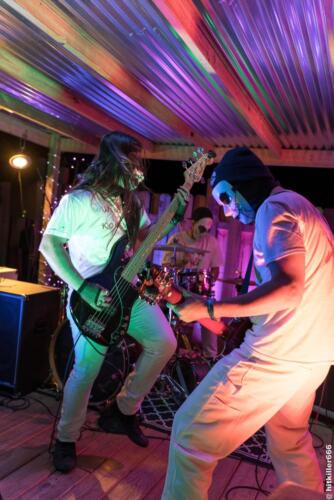 THE KOLLEKTIVE band